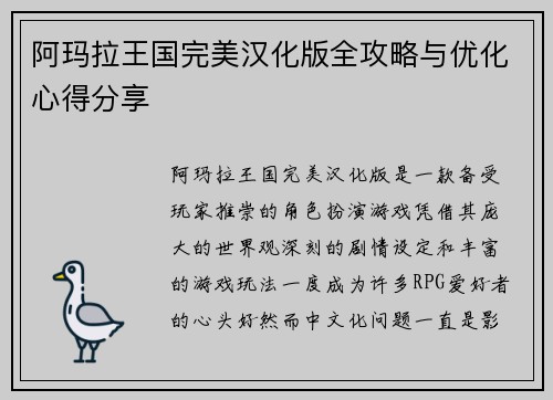 阿玛拉王国完美汉化版全攻略与优化心得分享
